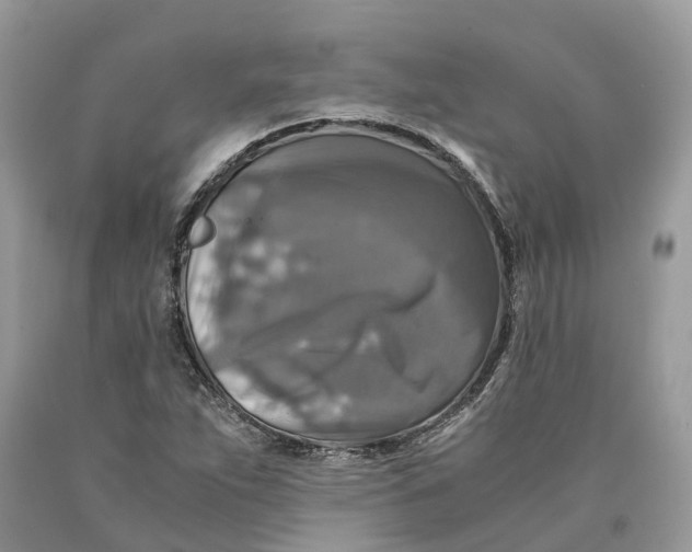 X0000089921263200707201810