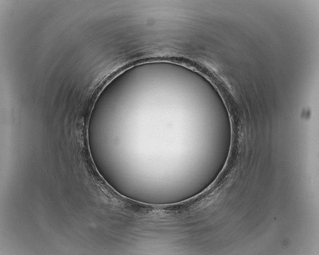 X0000089921265200707201810