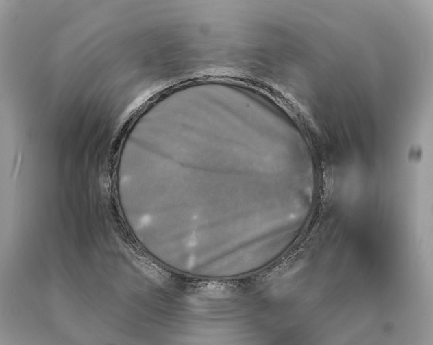 X0000089921266200707201810