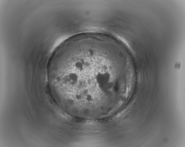 X0000089921267200707201810