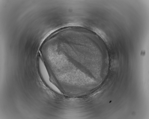 X0000089921268200707201810