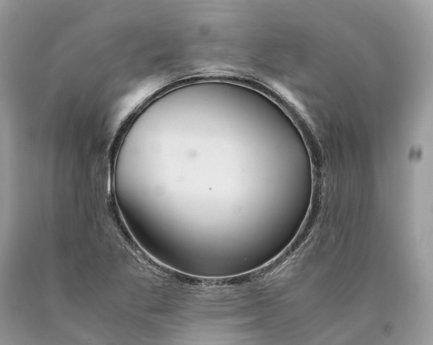 X0000089921269200707201810