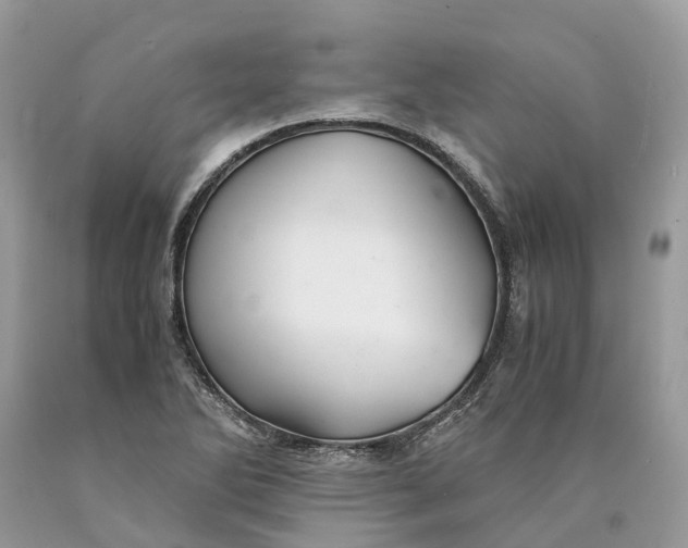 X0000089921270200707201810