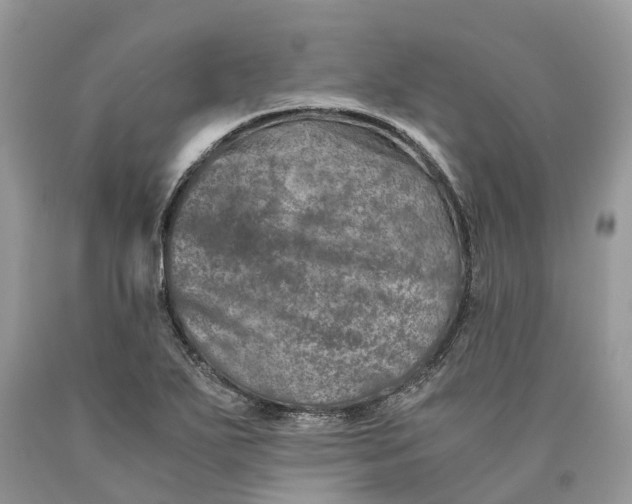 X0000089921271200707201810