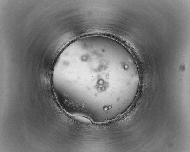 X0000089921273200707201810