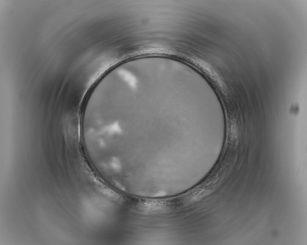 X0000089921274200707201810