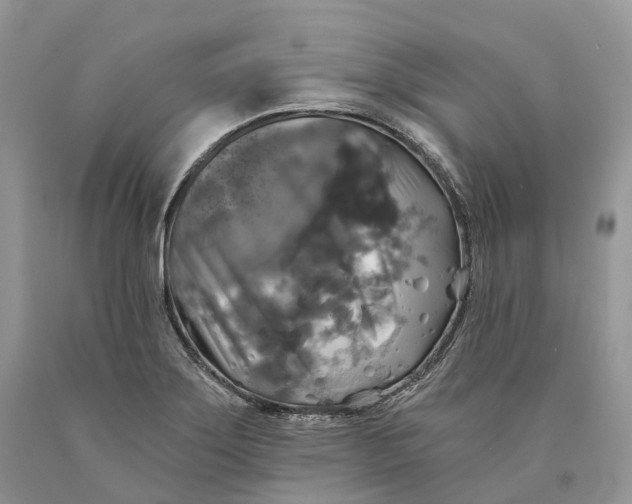 X0000089921275200707201810