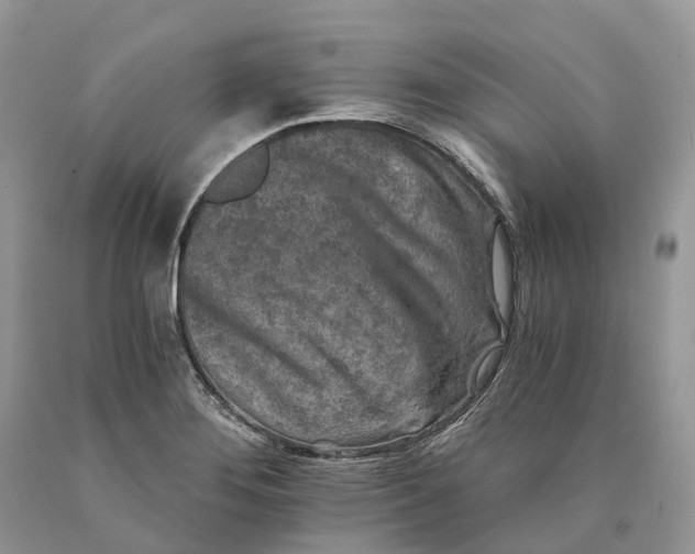 X0000089921276200707201810