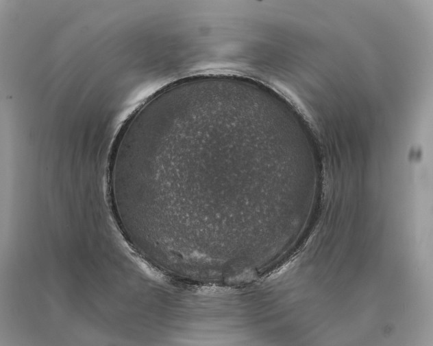 X0000089921277200707201810