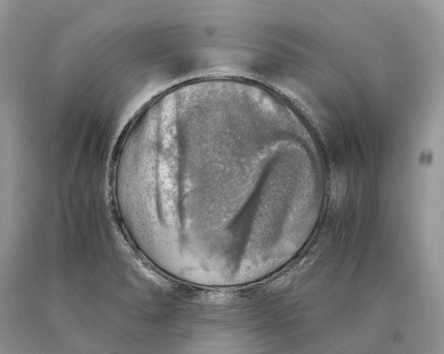 X0000089921278200707201810