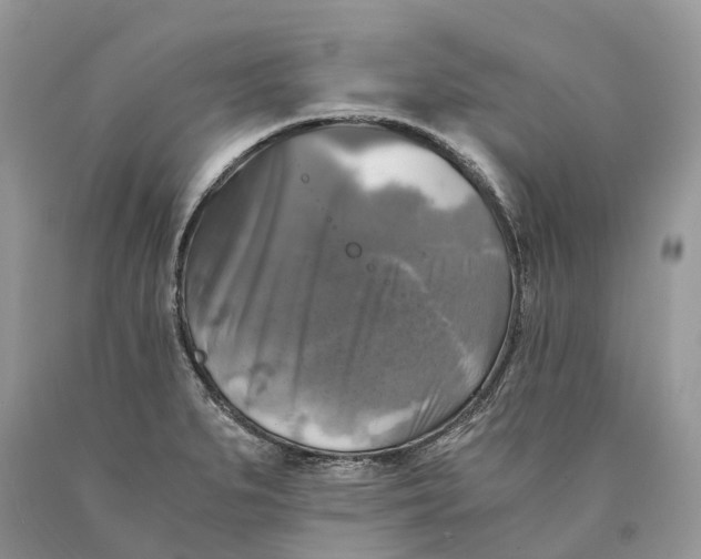 X0000089921279200707201810