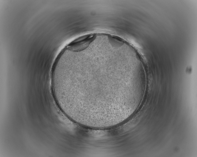 X0000089921280200707201810