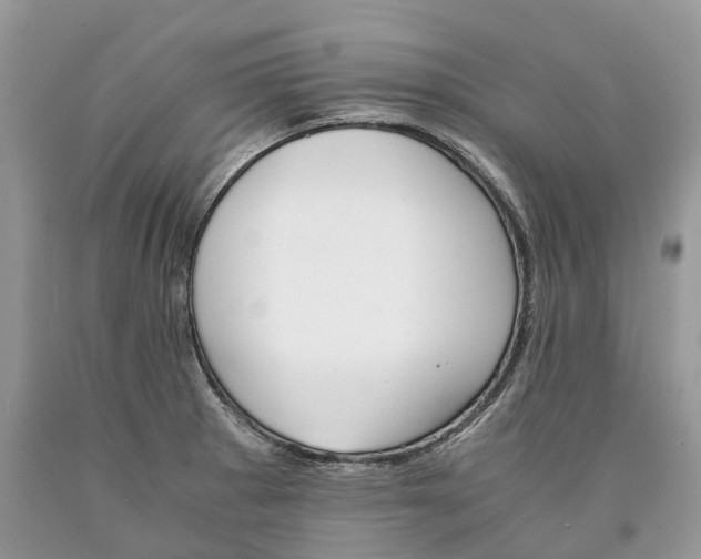 X0000089921281200707201810