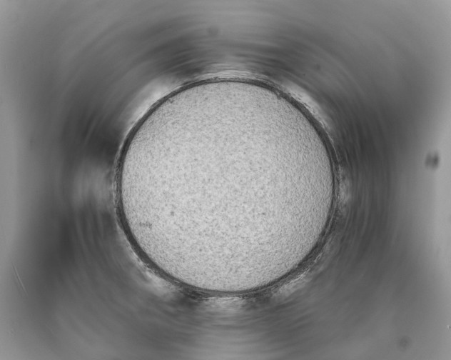 X0000089921282200707201810