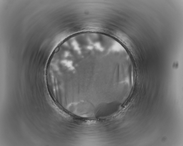 X0000089921283200707201810