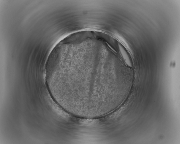 X0000089921284200707201810