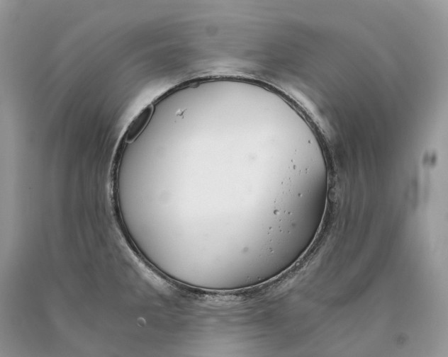 X0000089921285200707201810
