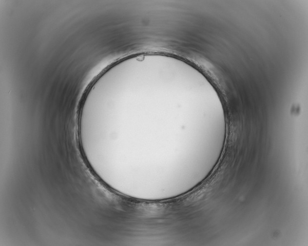X0000089921286200707201810