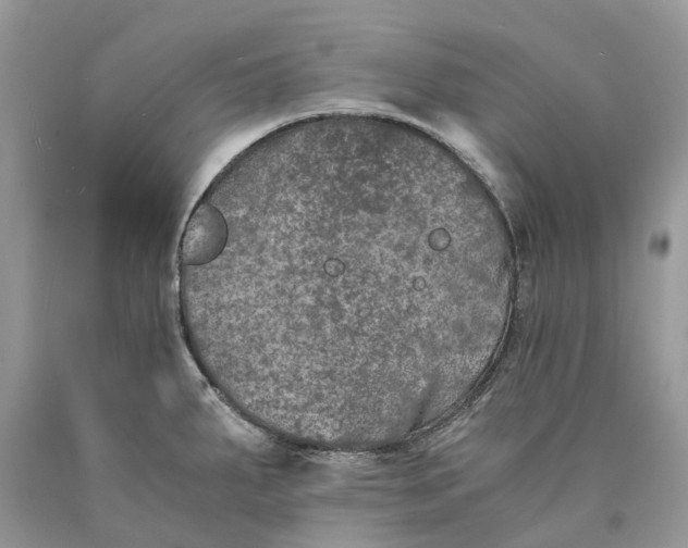 X0000089921287200707201810