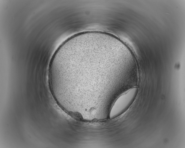 X0000089921288200707201810