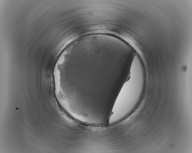 X0000089921289200707201810
