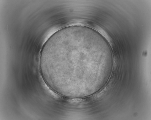 X0000089921290200707201810