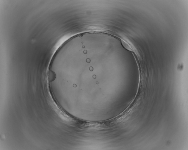X0000089921291200707201810