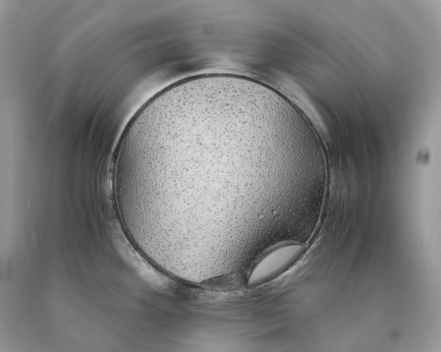 X0000089921292200707201810