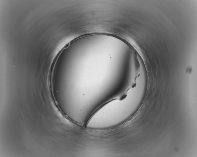 X0000089921293200707201810