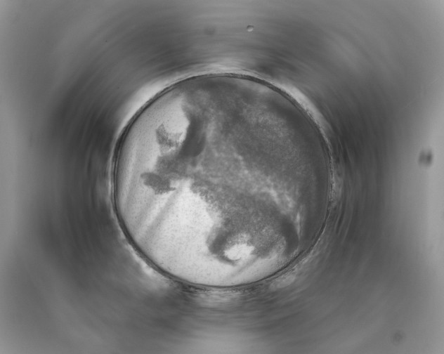 X0000089921294200707201810