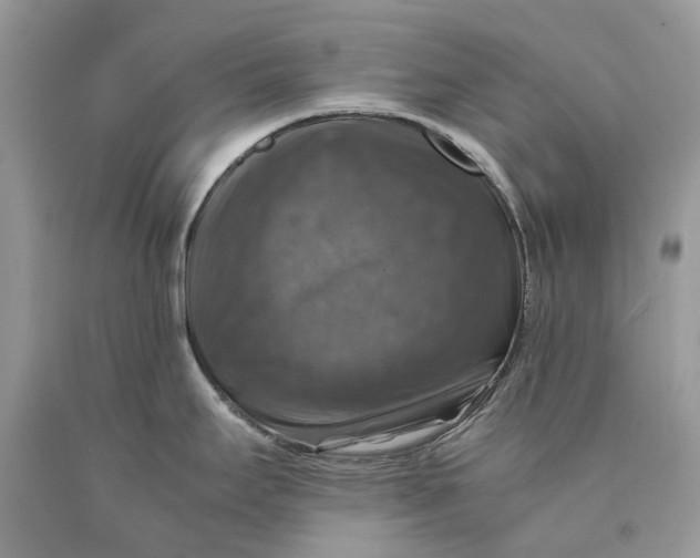 X0000089921295200707201810