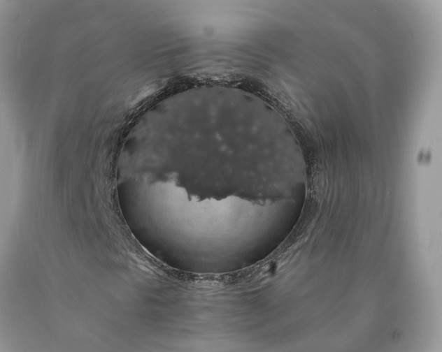 X0000089921297200707201809