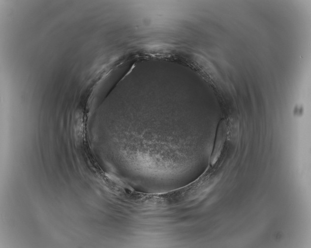 X0000089921298200707201809
