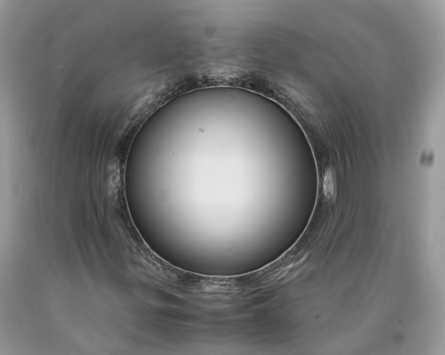 X0000089921299200707201809
