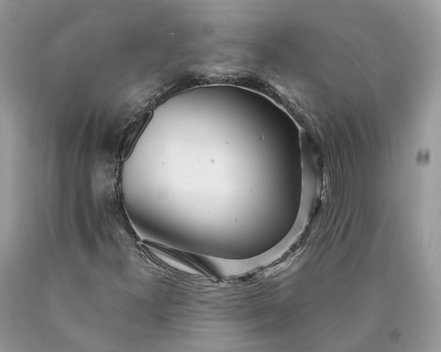 X0000089921300200707201809