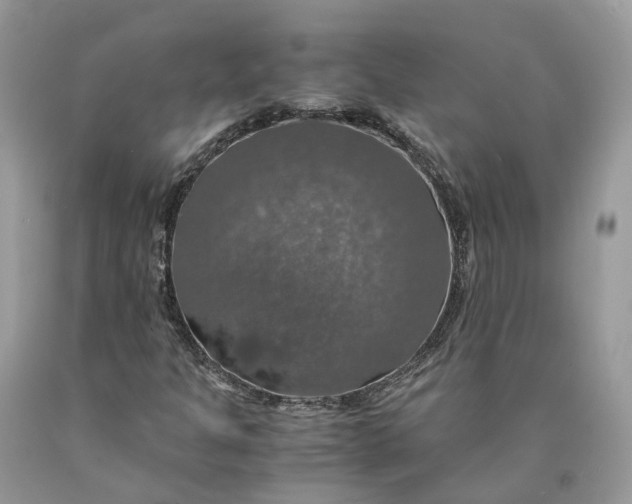 X0000089921301200707201809