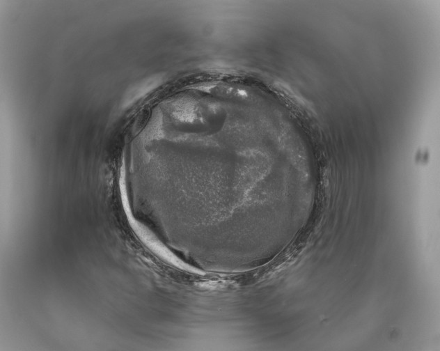 X0000089921302200707201809