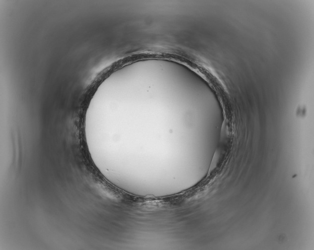 X0000089921304200707201809