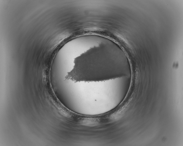 X0000089921305200707201809