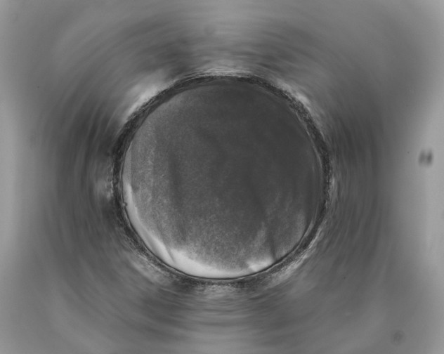 X0000089921306200707201809