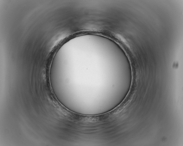 X0000089921307200707201809