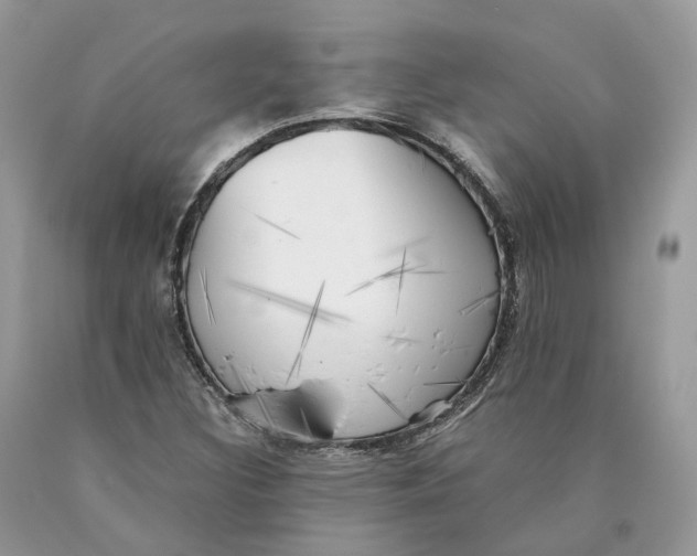 X0000089921308200707201809