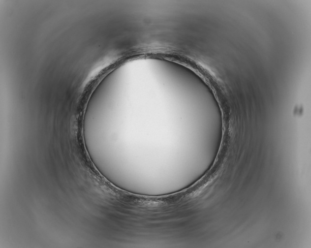 X0000089921309200707201809