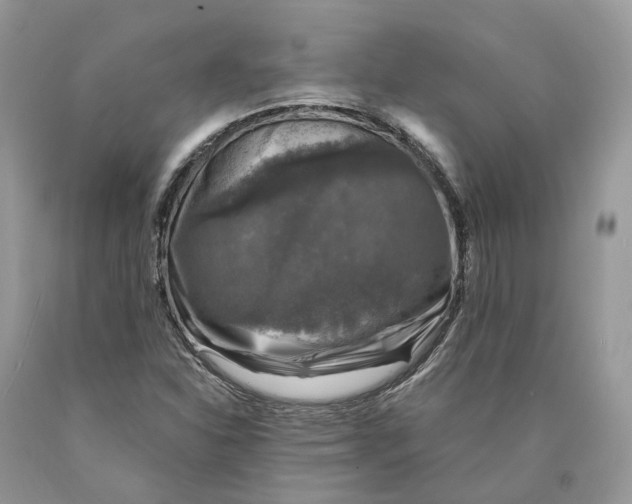 X0000089921310200707201809