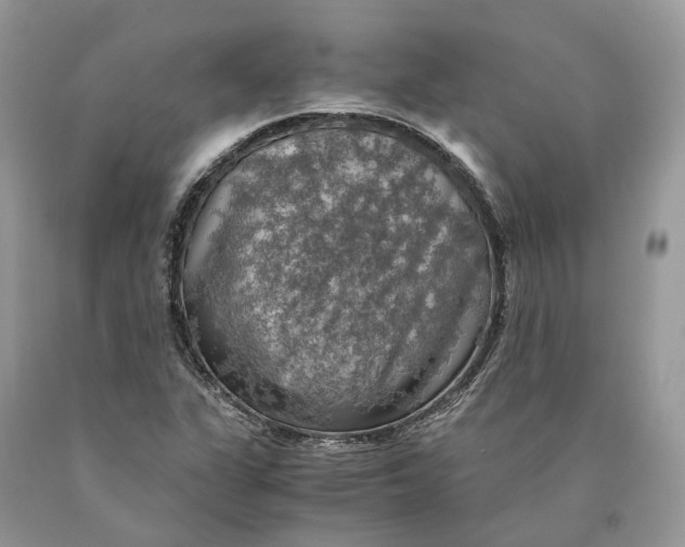 X0000089921311200707201809
