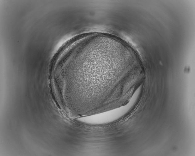 X0000089921312200707201809