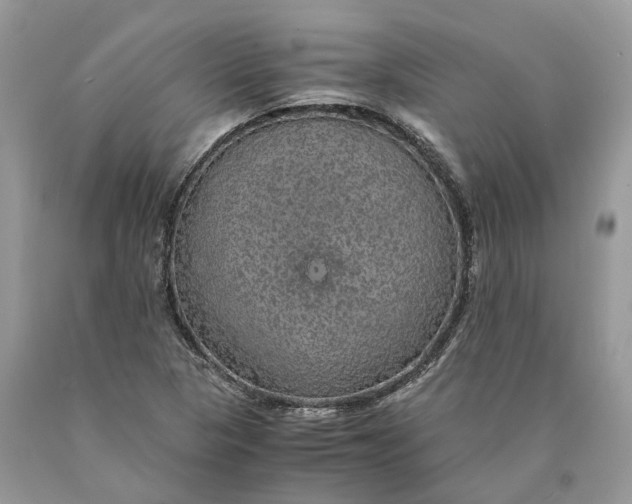 X0000089921313200707201809