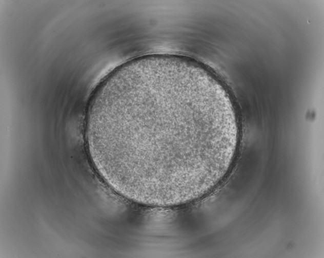 X0000089921314200707201809