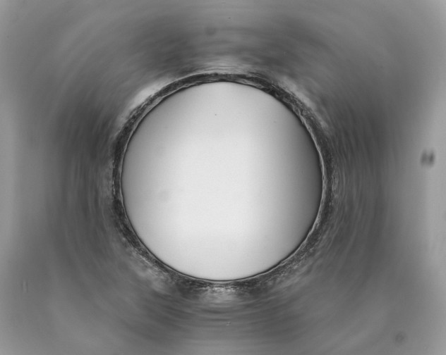 X0000089921315200707201809