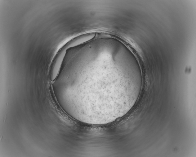X0000089921316200707201809